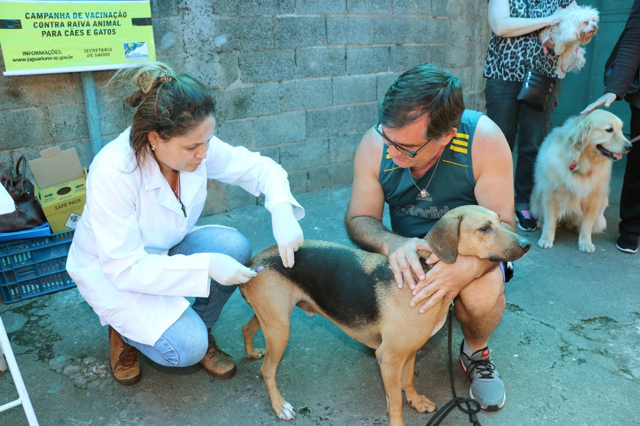 Secretaria de Sade divulga calendrio de vacina contra a raiva