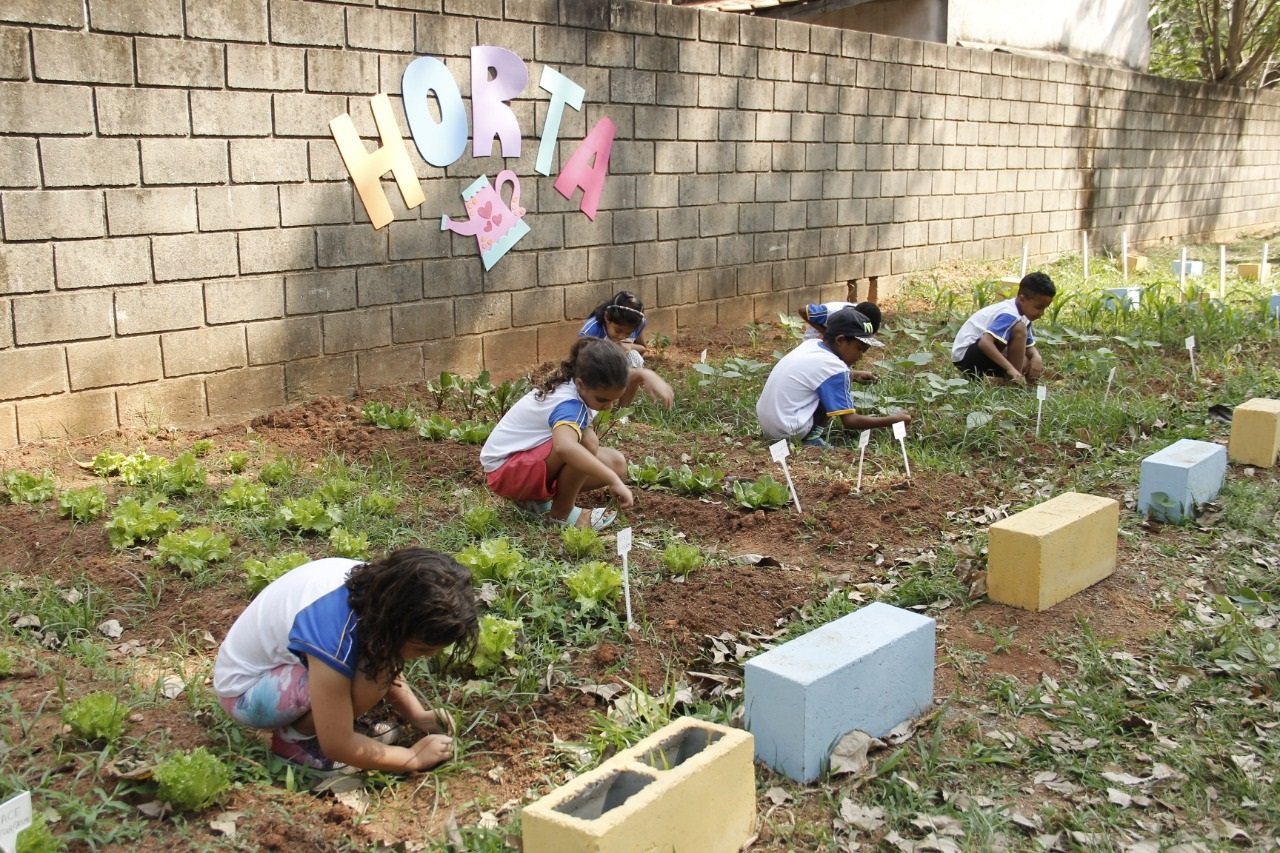 Alunos esto colaborando na manuteno da horta na escola 