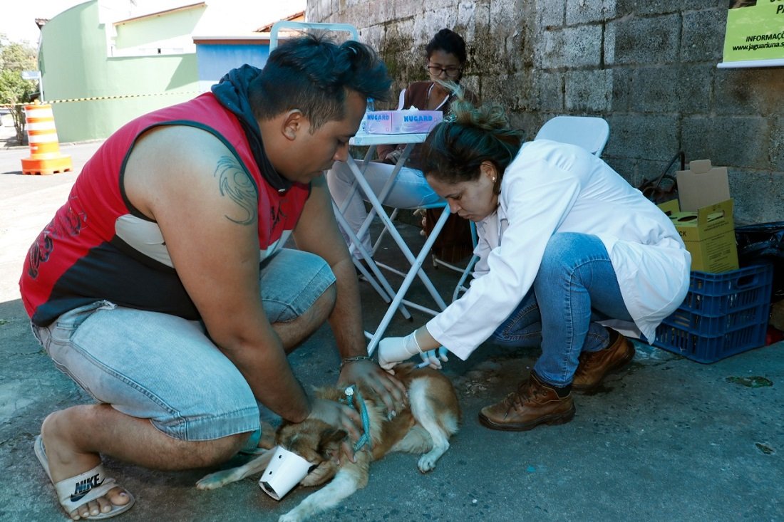 arquivo sem legenda ou nome