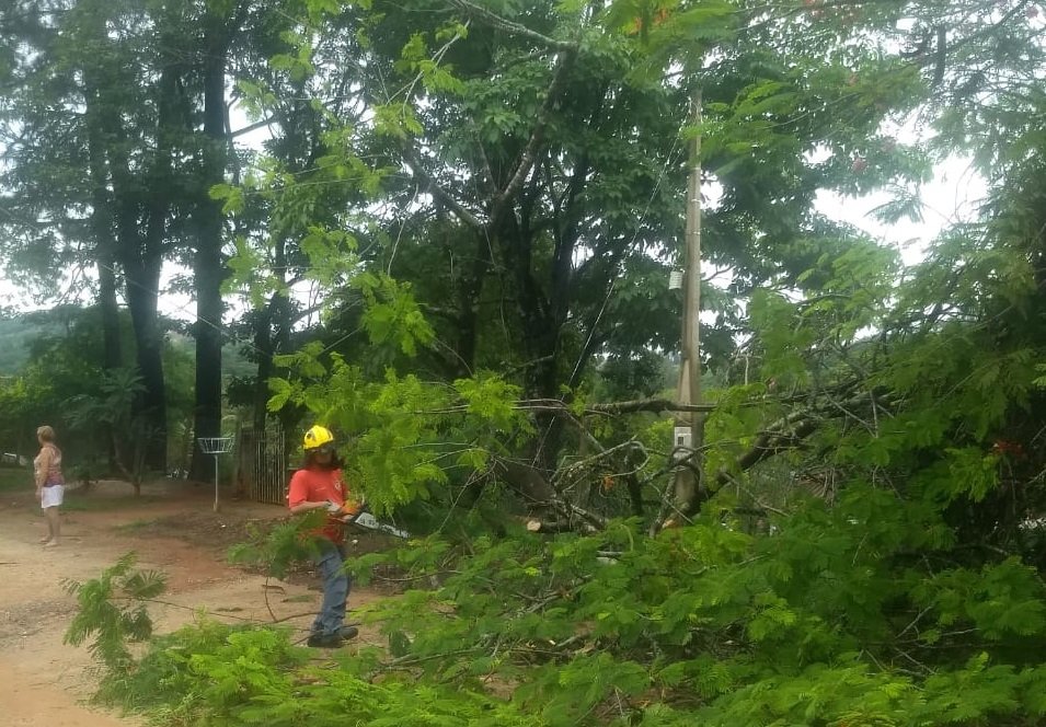 Trabalho foi intenso de vrios profissionais da Prefeitura