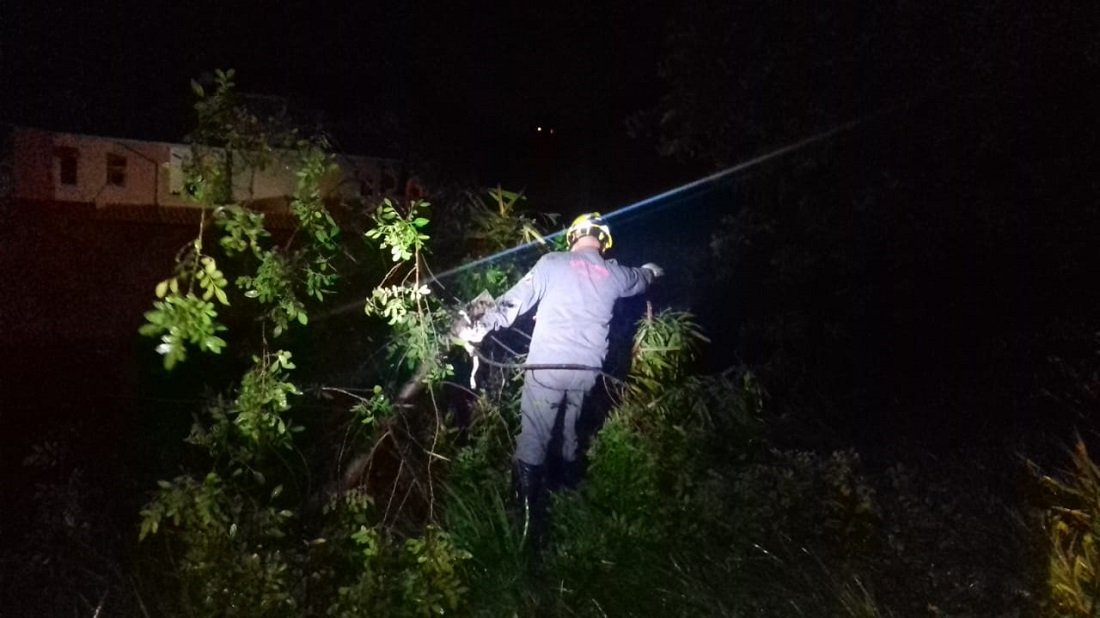 Trabalho comeou logo aps o temporal que causou destruio em Jaguarina