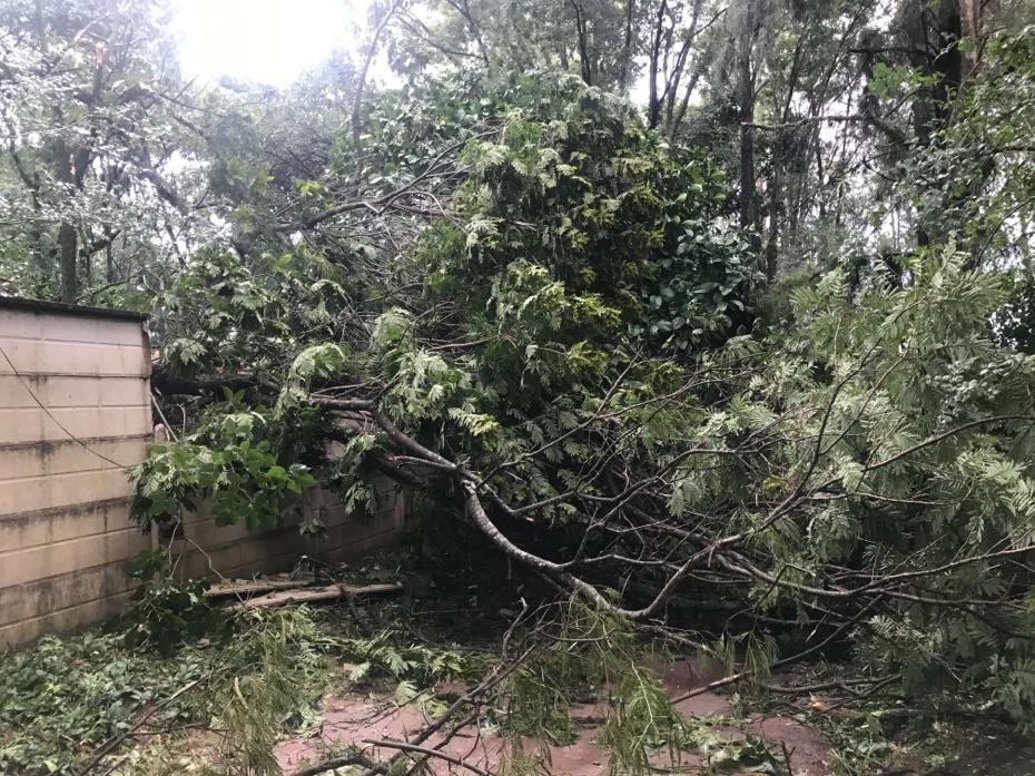 Prejuízos ainda estão sendo contabilizados pelos responsáveis do Centro de Equoterapia