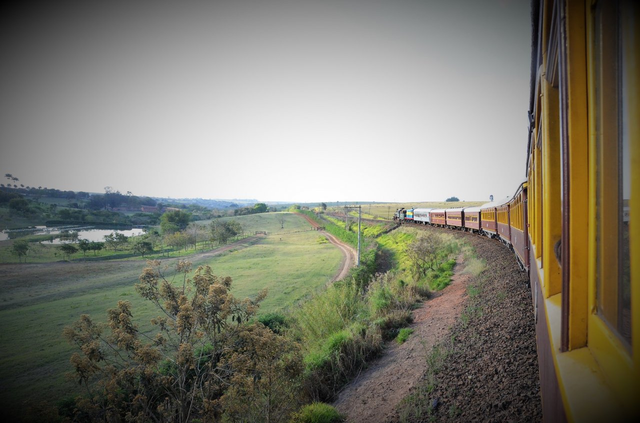 Trem passando por uma das paisagens ao longo do trajeto de Jaguariúna a Campinas (Foto Gislaine Mathias)