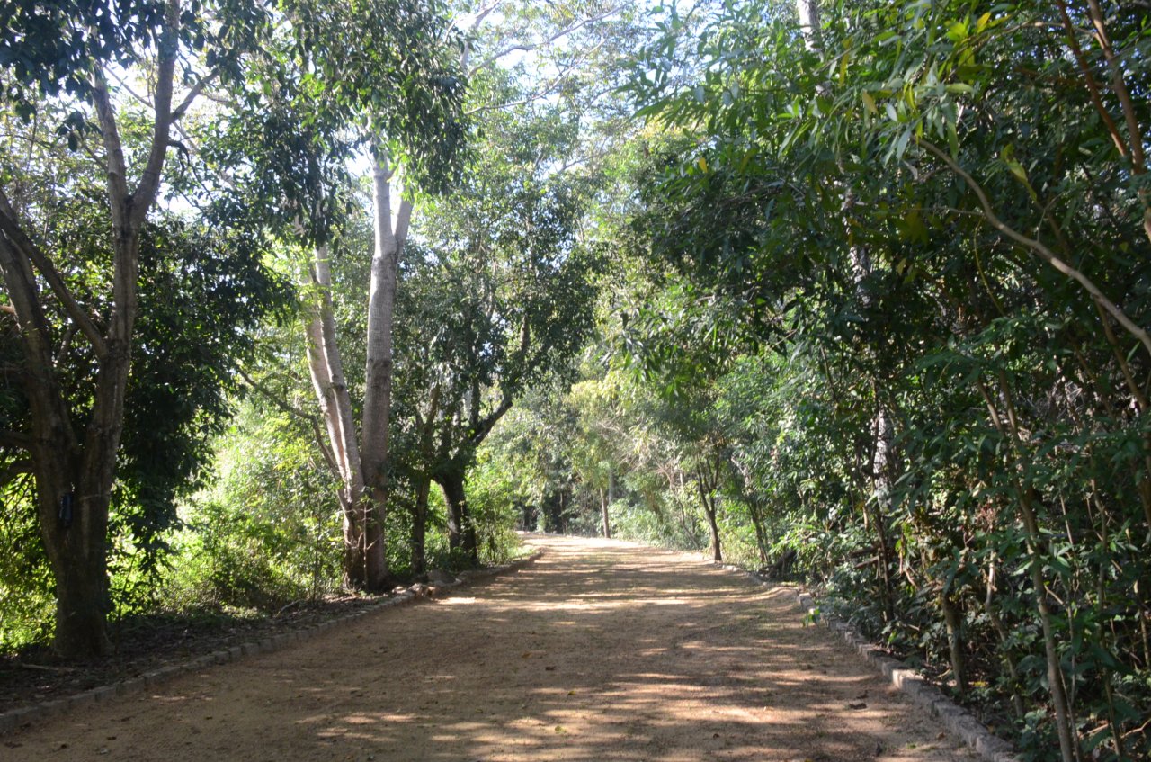 Produtor rural de Jaguariúna pode se informar sobre o Cadastro Ambiental (Foto Gislaine Mathias)