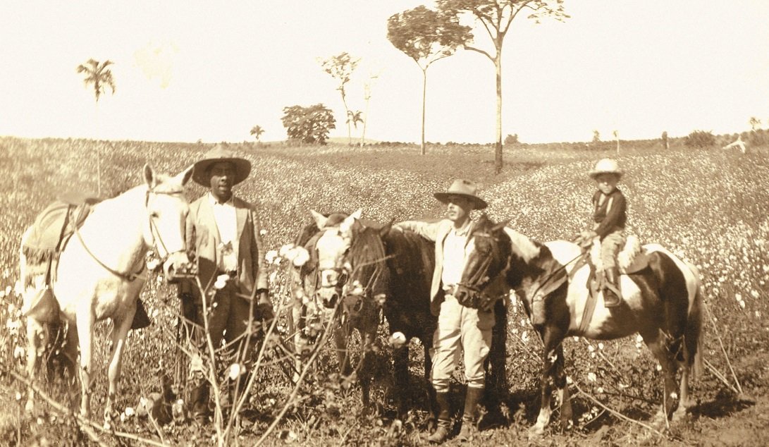 Colheita de algodão da Fazenda Camanducaia, também foi uma cultura cultivada no distrito