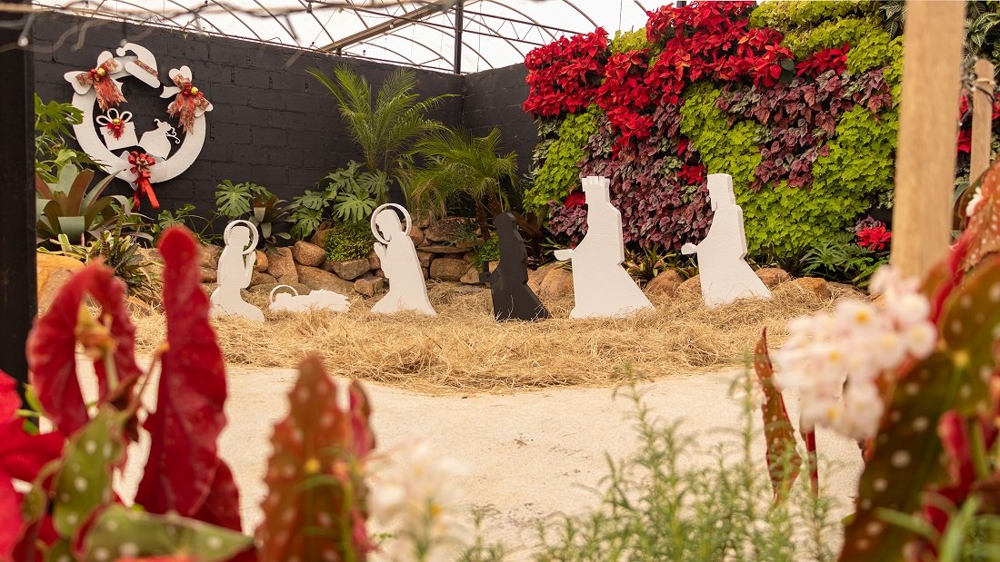 Natal de Holambra promete encantar o público