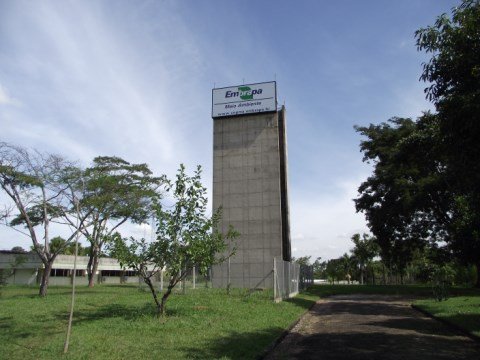 Embrapa foi inaugurada na década de 1980 em Jaguariúna