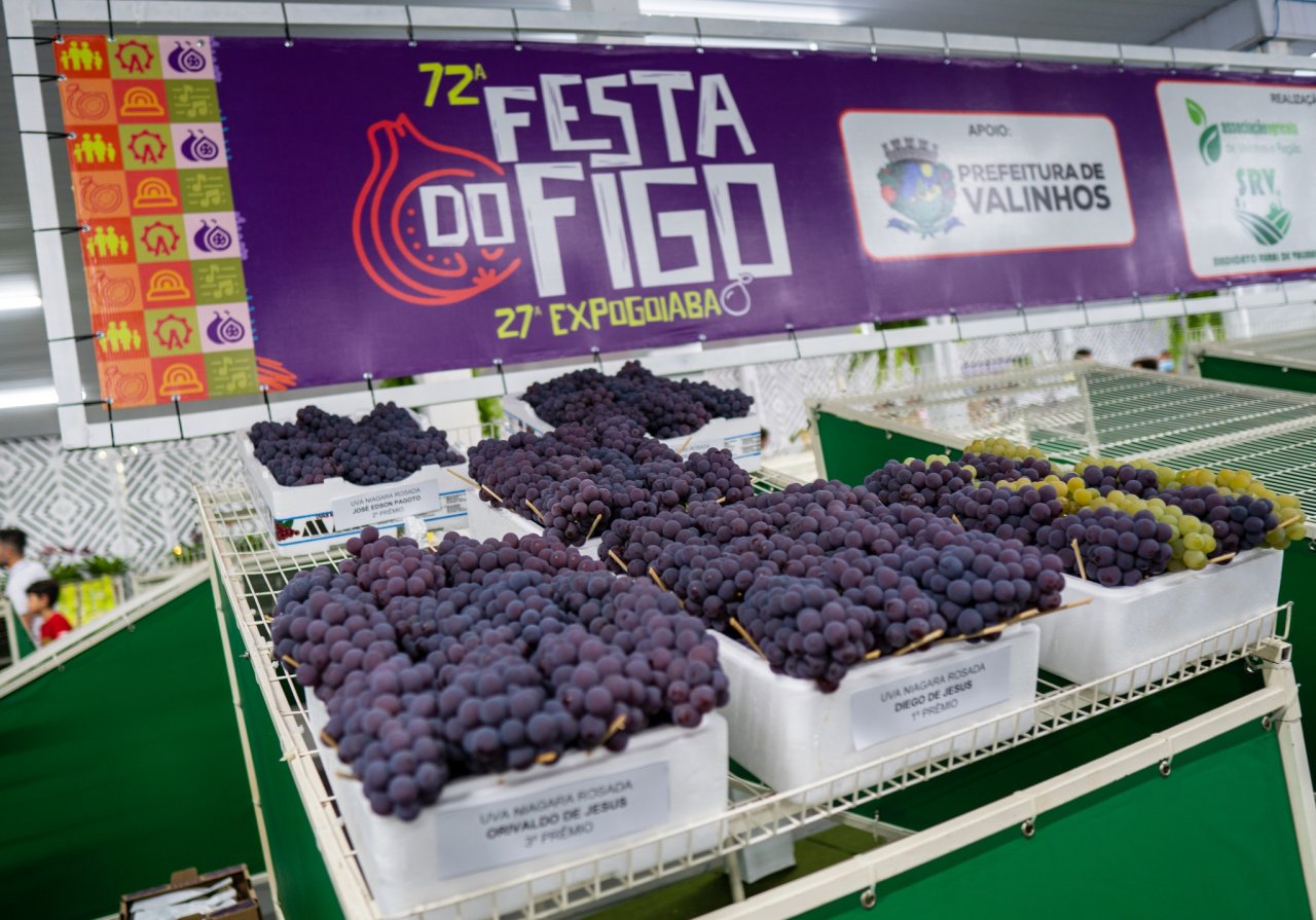Tradicional festa conta com várias atrações
