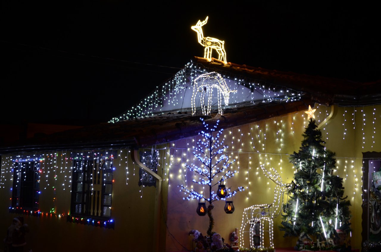 Árvore de Natal e renas não podem faltar na decoração