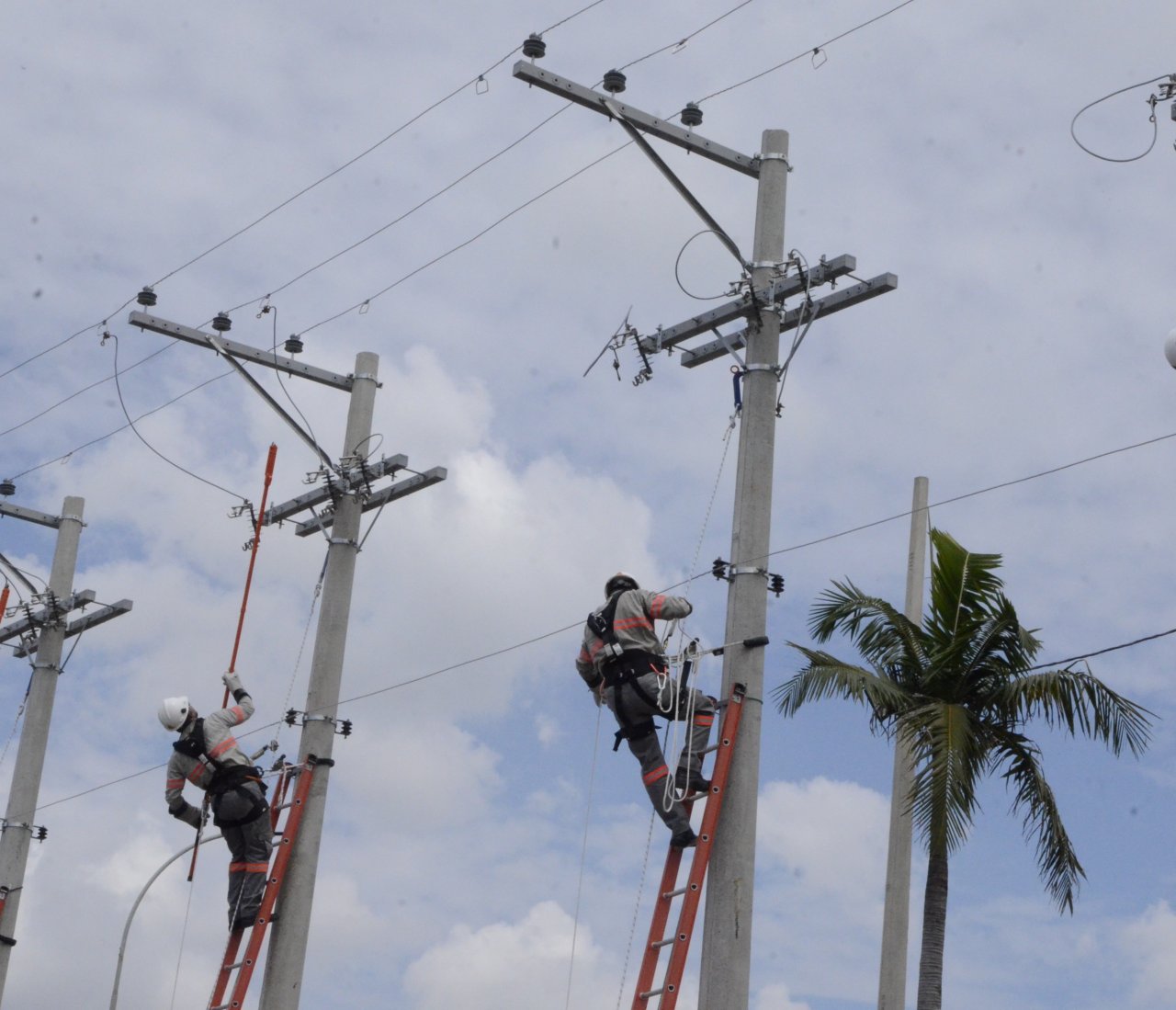 Tarefas foram similares ao trabalho na rede de energia (Foto Gislaine Mathias)