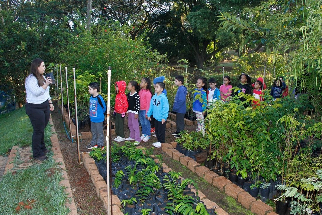 Uma das ações é a doação de mudas de espécies nativas e frutíferas, produzidas no Viveiro Municipal (Foto arquivo)