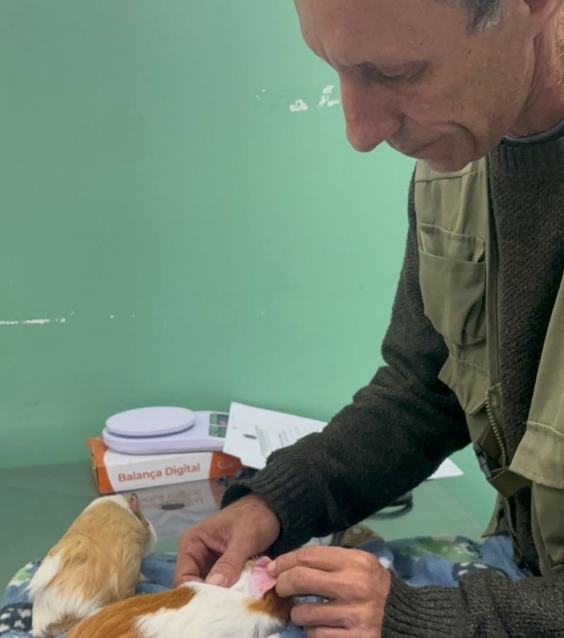 Veterinário inicia atendimento em animais exóticos e silvestres (Foto divulgação)