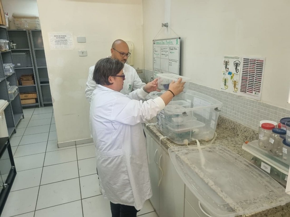 Entrega de escorpies faz parte de uma contrapartida junto ao Instituto Butantan (Foto divulgao)