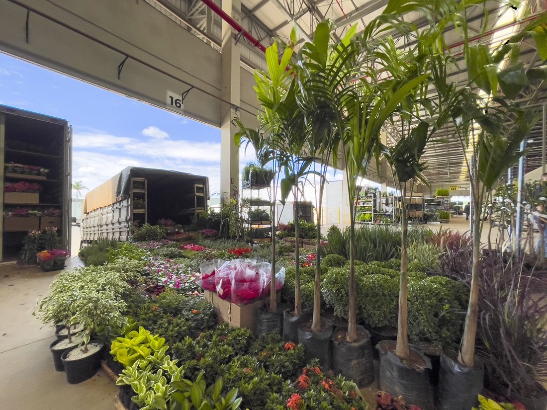 Ceaflor promete movimentar o setor de flores