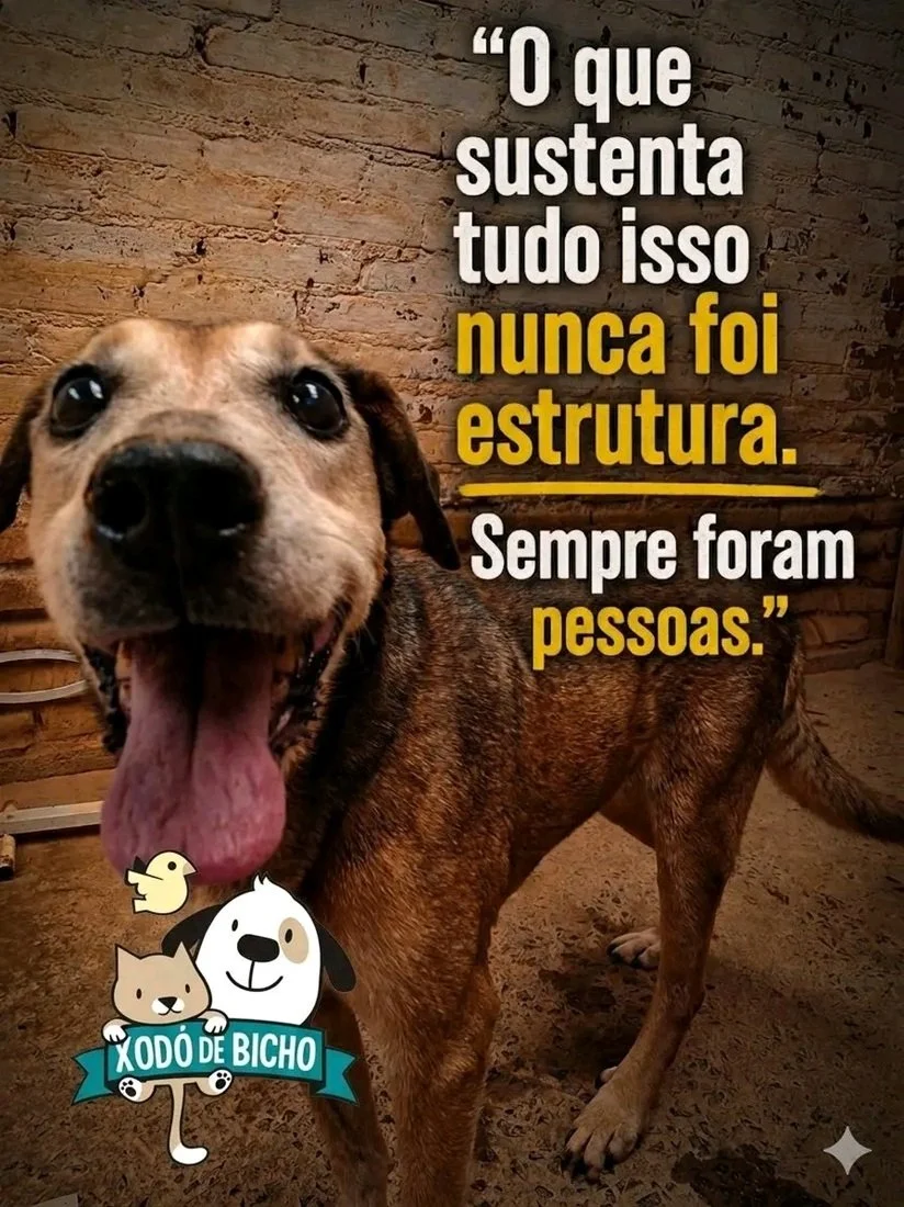 Publicidade
