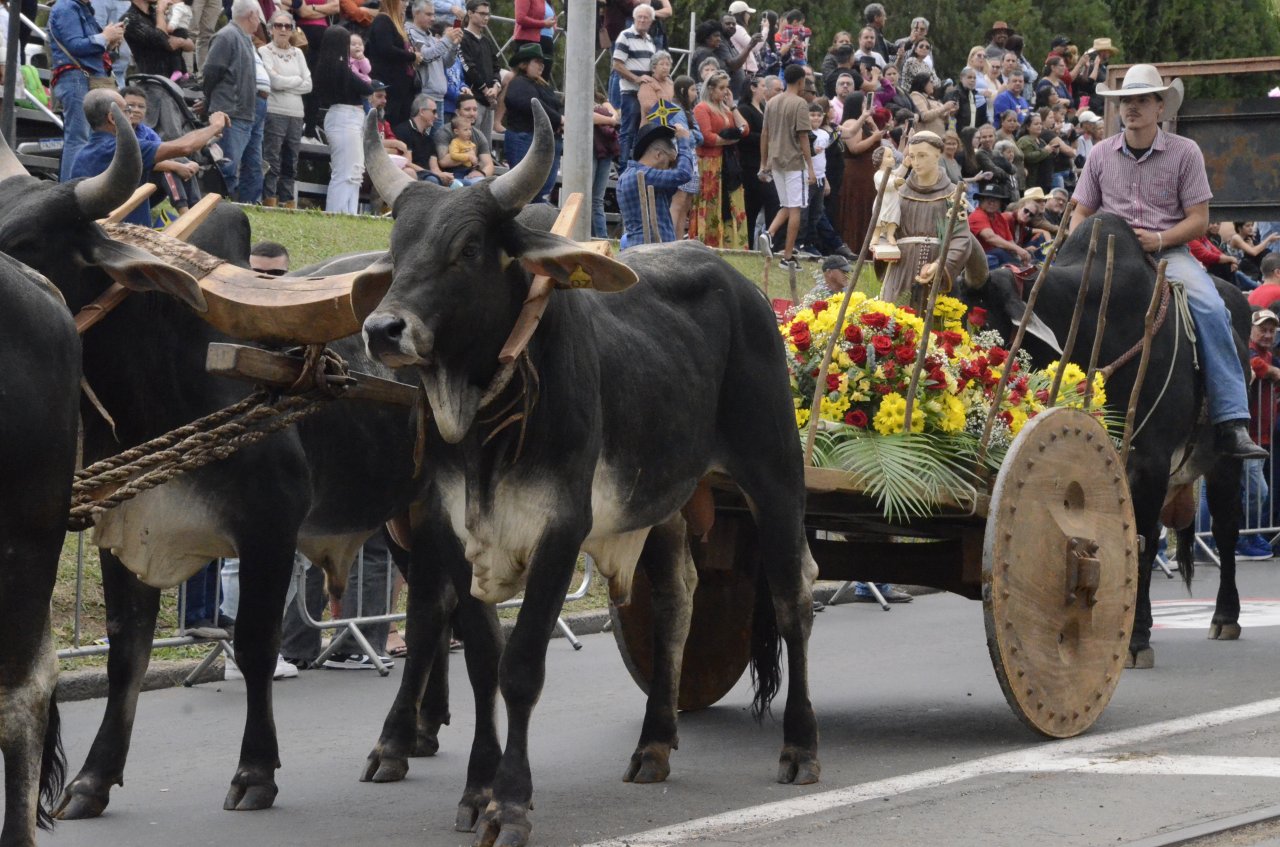 Santo Antonio � homenageado na Cavalaria Antoniana (Foto Gislaine Mathias)