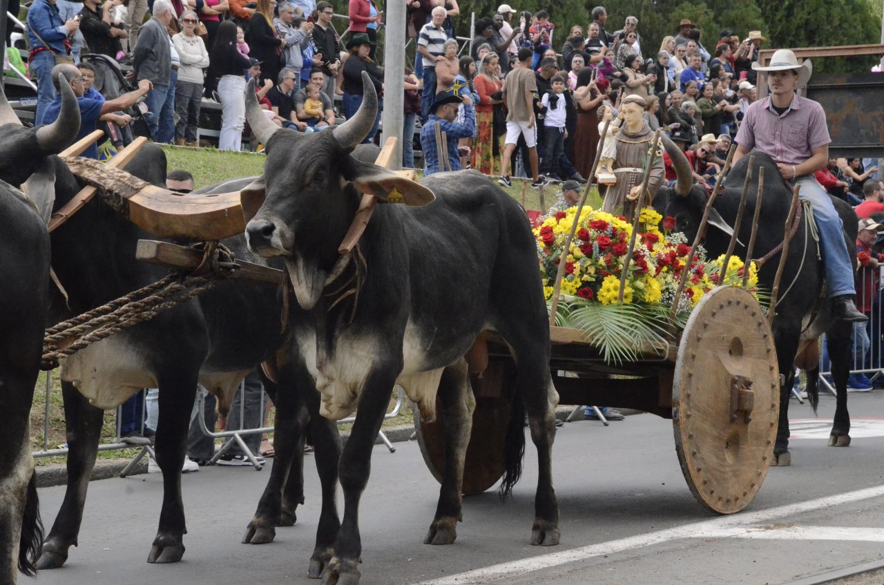 Desfile da Cavalaria passará pelo Centro Cultural (Foto Gislaine Mathias)