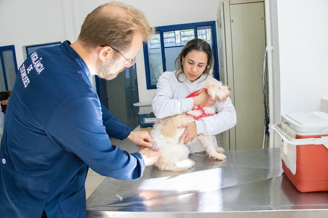 Vacinação anual de cães e gatos, a partir dos três meses de idade é considerada a medida mais eficaz para evitar a circulação do vírus (Foto Diego Monarin)