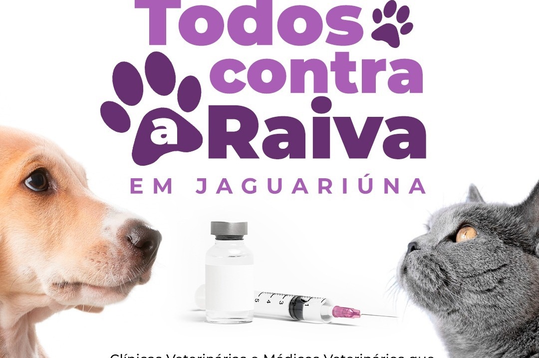Imagem de divulgação