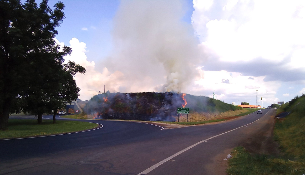Renovias reforça as orientações aos motoristas e destaca as medidas de prevenção adotadas pela empresa (Foto de divulgação)