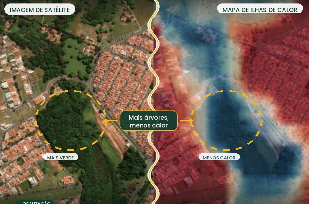 Imagem de divulgação
