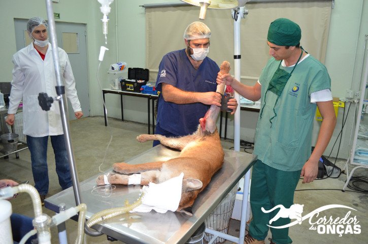 arquivo sem legenda ou nome