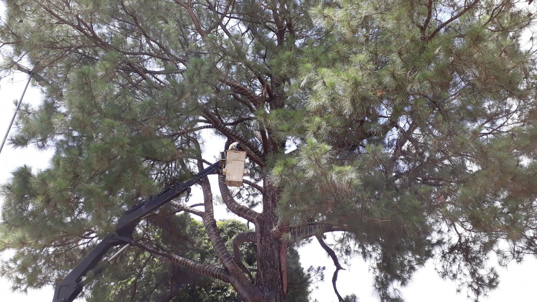 arquivo sem legenda ou nome