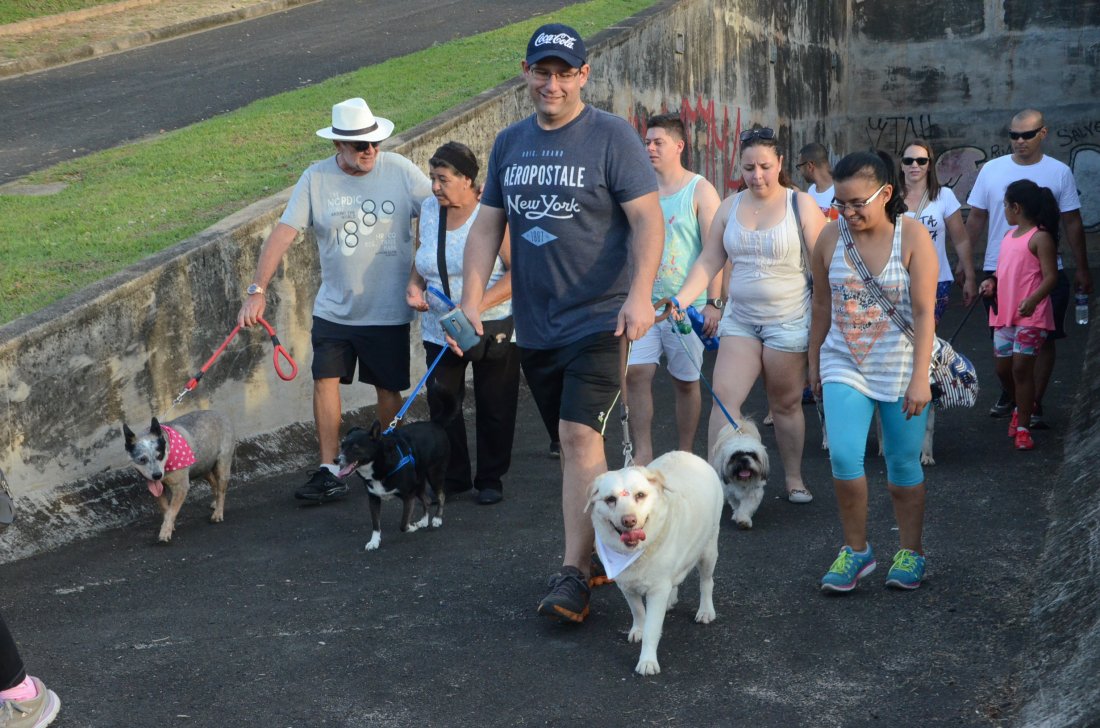 arquivo sem legenda ou nome