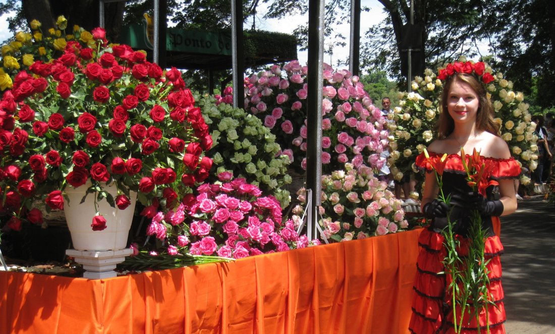 arquivo sem legenda ou nome