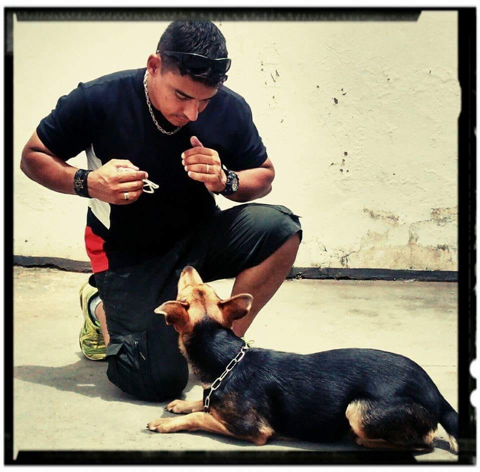 arquivo sem legenda ou nome