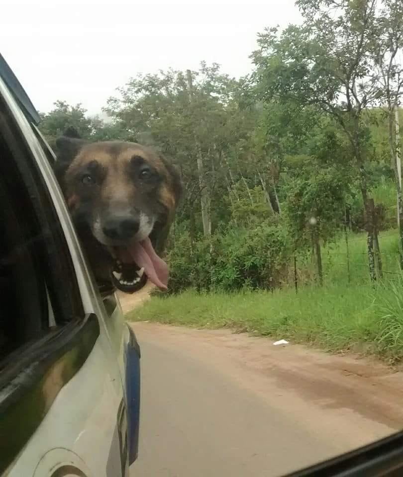 arquivo sem legenda ou nome