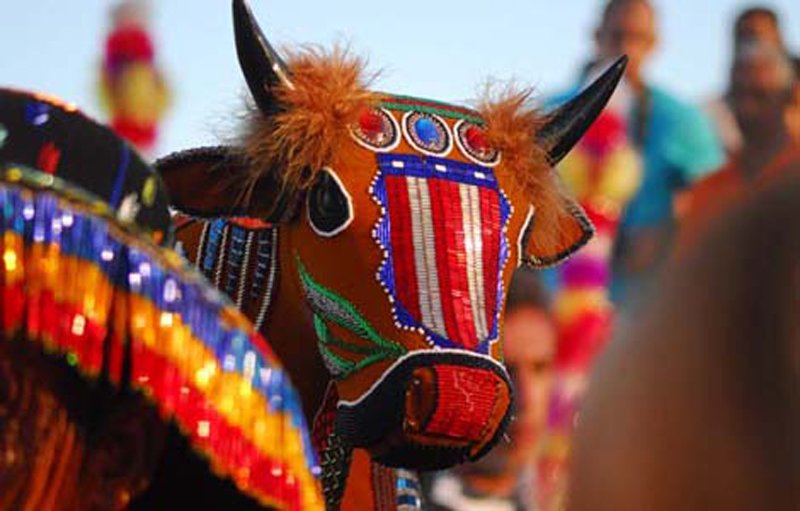 Evento abre a programao do festival com destaque para a cultura brasileira 