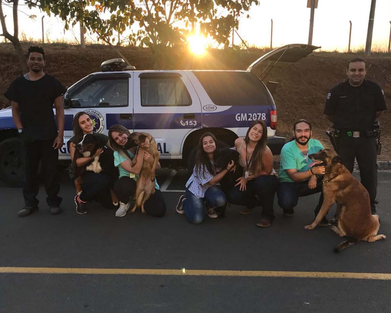 Parceria busca auxiliar a rotina clnica nos casos de transfuses de sangue feitas nos animais