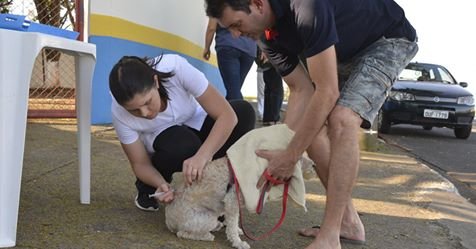 Vacina��o � a �nica maneira de evitar a doen�a em animais 