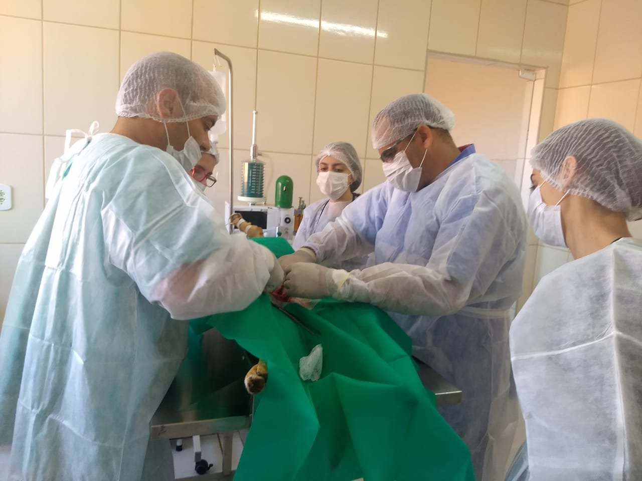 A proposta  realizar esse tipo de ao com frequncia