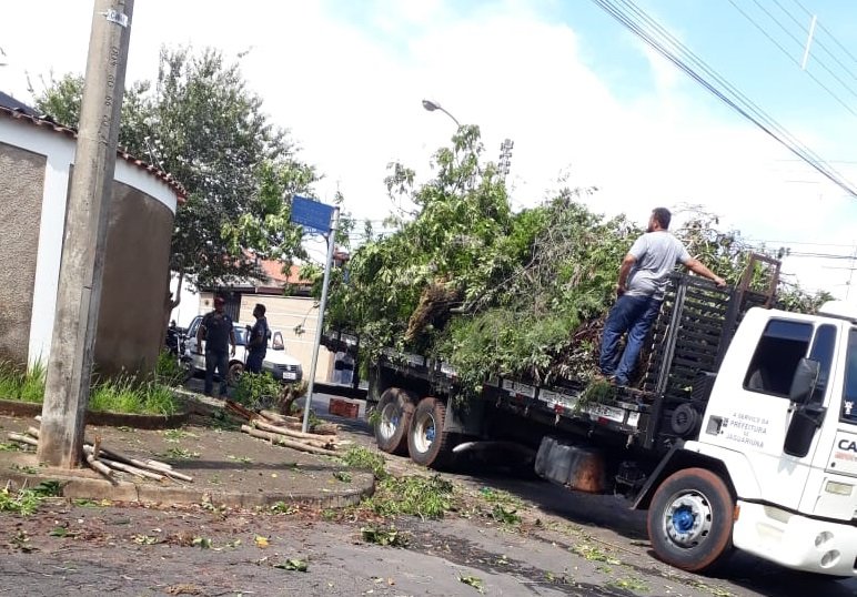 Jaguarina registrou quedas de rvores e um dos pontos foi no bairro 12 de Setembro (Foto: Iraci Bueno Viginoti)