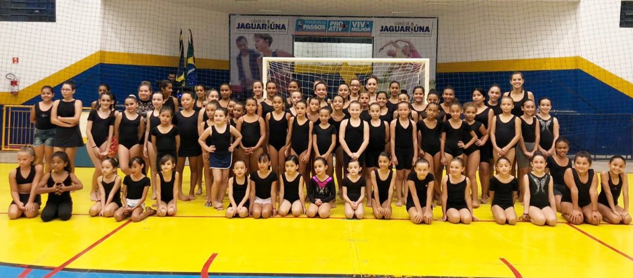 Ginstica  uma das modalidades que integra a lista do Projeto Campees