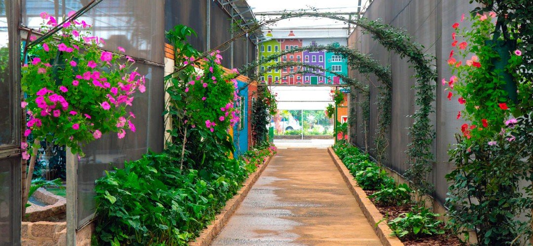 Candidatos interessados em concorrer a Bolsa Social precisam preencher vrios requisitos