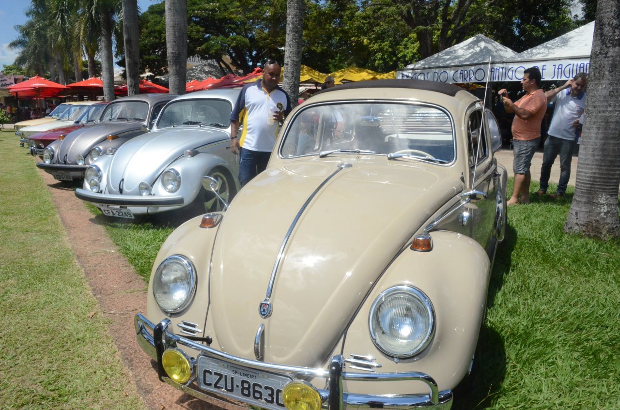 Colecionadores de diversas cidades esto sendo esperados neste domingo