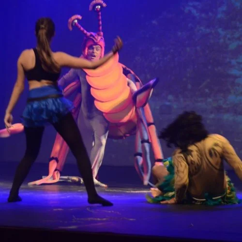 Moana 