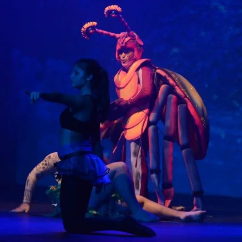 Moana 