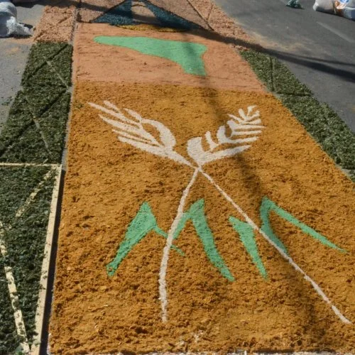 Corpus Christi 2019 