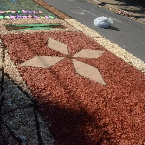 Corpus Christi 2019