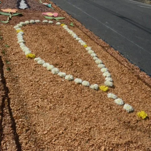 Corpus Christi 2019