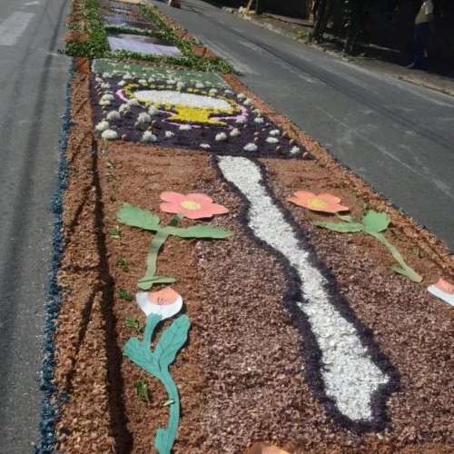 Corpus Christi 2019