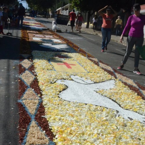 Corpus Christi 2019