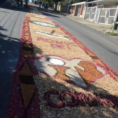 Corpus Christi 2019