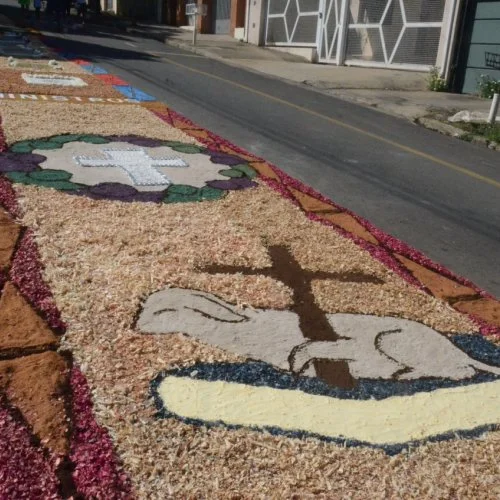 Corpus Christi 2019