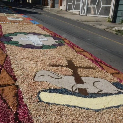 Corpus Christi 2019