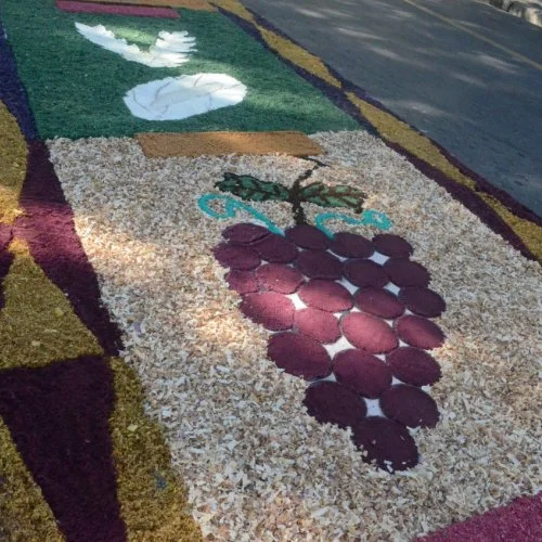 Corpus Christi 2019
